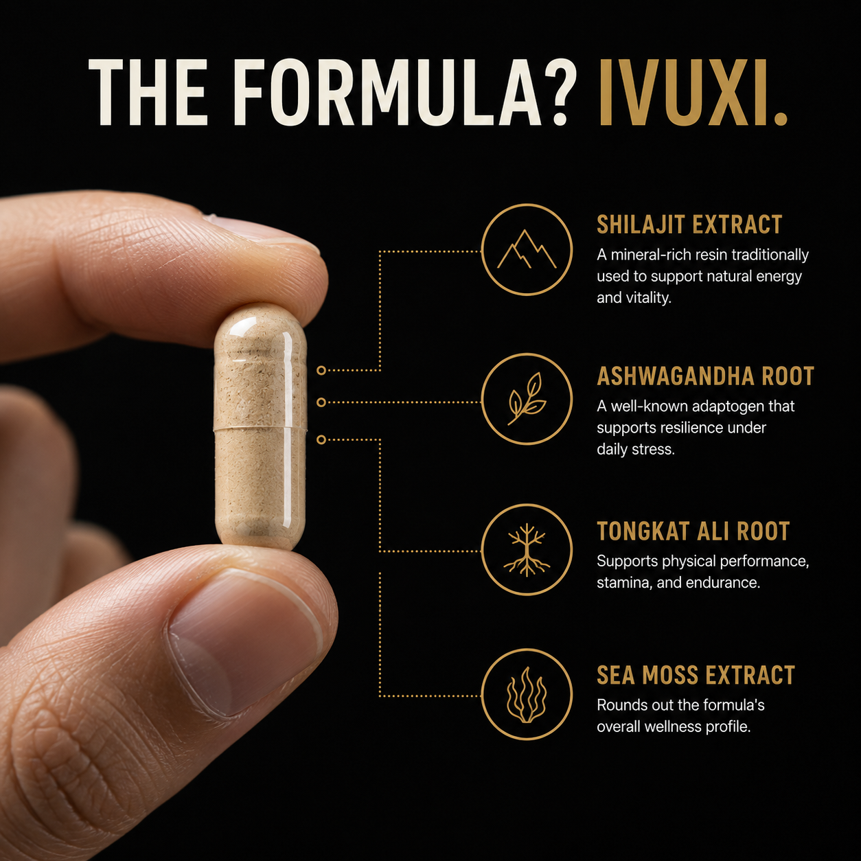 IVUXI capsule with shilajit, ashwagandha, tongkat ali and sea moss extracts explained